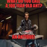 Bad Pun Ant-Man | WHAT DO YOU CALL A 100 YEAR OLD ANT? AN ANTIQUE! | image tagged in bad pun ant-man,funny,memes,bad pun,ant-man,marvel | made w/ Imgflip meme maker