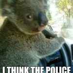 Driving koala  | DONT LOOK BACK; I THINK THE POLICE IS CHASING US | image tagged in driving koala | made w/ Imgflip meme maker