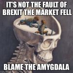 lizard brain | IT'S NOT THE FAULT OF BREXIT THE MARKET FELL; BLAME THE AMYGDALA | image tagged in lizard brain | made w/ Imgflip meme maker