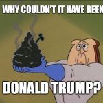 Burning the president | WHY COULDN'T IT HAVE BEEN; DONALD TRUMP? | image tagged in burning the president | made w/ Imgflip meme maker