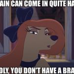 A Brain Can Come In Quite Handy | A BRAIN CAN COME IN QUITE HANDY. SADLY, YOU DON'T HAVE A BRAIN. | image tagged in dixie tough,memes,disney,the fox and the hound 2,reba mcentire,dog | made w/ Imgflip meme maker