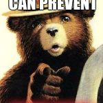 smokey the bear | ONLY YOU CAN PREVENT; FLAME WARS | image tagged in smokey the bear,memes | made w/ Imgflip meme maker