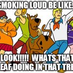 Scooby Doo | SMOKING LOUD BE LIKE... LOOK!!!!!  WHATS THAT LEAF DOING IN THAT TREE | image tagged in scooby doo | made w/ Imgflip meme maker