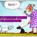 Racist Dog | TODAY'S POLITCALLY CORRECT PEA BRAINED LOGIC | image tagged in racist dog | made w/ Imgflip meme maker