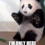 Sexual harassment panda | STOP! I'M ONLY HERE FOR THE COCO PUFFS | image tagged in sexual harassment panda | made w/ Imgflip meme maker