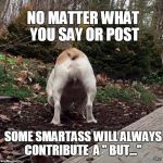 THE INEVITABLE SMARTASS | NO MATTER WHAT YOU SAY OR POST; SOME SMARTASS WILL ALWAYS CONTRIBUTE  A " BUT..." | image tagged in politics,memes,dogs,smartass | made w/ Imgflip meme maker