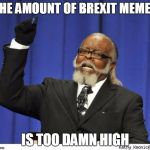 damn brexit
 | THE AMOUNT OF BREXIT MEMES; IS TOO DAMN HIGH | image tagged in the amout of depressed people is to damn high,the amount of x is too damn high | made w/ Imgflip meme maker