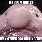 Blobfish | ME ON MONDAY; AND EVERY OTHER DAY DURING THE WEEK | image tagged in blobfish | made w/ Imgflip meme maker