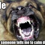 Angry Dog | Me; when someone tells me to calm down!! | image tagged in angry dog | made w/ Imgflip meme maker
