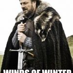 Winds of winter is coming! | BRACE YOURSELVES, MY  DEAREST COMRADES; WINDS OF WINTER IS COMING! | image tagged in winter is coming,sean bean,ned stark,game of thrones,memes | made w/ Imgflip meme maker