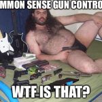 That New Law Wouldn't Require Pants Would It | COMMON SENSE GUN CONTROL? WTF IS THAT? | image tagged in gun control,2nd amendment,democrats,liberals,political meme | made w/ Imgflip meme maker
