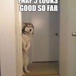 dog weird | FNAF 5 LOOKS GOOD SO FAR | image tagged in dog weird | made w/ Imgflip meme maker