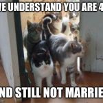 And so a crazy cat lady was born | WE UNDERSTAND YOU ARE 40; AND STILL NOT MARRIED | image tagged in cats,memes,funny | made w/ Imgflip meme maker