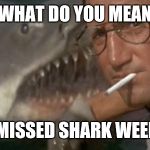 Shark Week | WHAT DO YOU MEAN; I MISSED SHARK WEEK! | image tagged in shark week | made w/ Imgflip meme maker