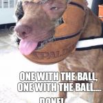 basketball dog | THEY SAID "BE ONE WITH THE BALL"... ONE WITH THE BALL, ONE WITH THE BALL.... DONE! WHO'S A GOOD DOGGIE? | image tagged in basketball dog | made w/ Imgflip meme maker