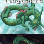 Bad Pun Rayquaza | WHATS THE DIFFERENCE BETWEEN A MAGIKARP AND A POKEBALL? ONE OF THEM IS ACTUALLY USED FOR CATCHING POKEMON | image tagged in bad pun rayquaza | made w/ Imgflip meme maker