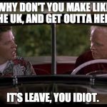 Brexit to the Future  | WHY DON'T YOU MAKE LIKE THE UK, AND GET OUTTA HERE. IT'S LEAVE, YOU IDIOT. | image tagged in old biff meets young biff,back to the future,brexit,eu referendum,leave,remain | made w/ Imgflip meme maker