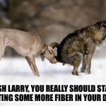 More fiber. | GOSH LARRY, YOU REALLY SHOULD START GETING SOME MORE FIBER IN YOUR DIET. | image tagged in more fiber,dogs,funny dogs,funny dog,poop,pooping | made w/ Imgflip meme maker