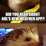 Corny Joke Hedgehog | DID YOU HEAR ABOUT AOL'S NEW WEATHER APP? IT'S CALLED "YOU'VE GOT HAIL!" | image tagged in corny joke hedgehog | made w/ Imgflip meme maker