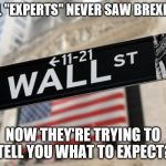 wall street | FINANCIAL "EXPERTS" NEVER SAW BREXIT COMING; NOW THEY'RE TRYING TO TELL YOU WHAT TO EXPECT? | image tagged in wall street | made w/ Imgflip meme maker