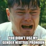 Crybaby Liberal Leonardo | YOU DIDN'T USE MY GENDER NEUTRAL PRONOUN | image tagged in crybaby liberal leonardo | made w/ Imgflip meme maker