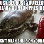 Groundscore Snake | JUST BECAUSE YOU ELECT HILLARY CLINTON PRESIDENT; DOESN'T MEAN SHE IS ON YOUR SIDE | image tagged in groundscore snake | made w/ Imgflip meme maker
