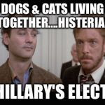 Ghostbusters it's true | DOGS & CATS LIVING TOGETHER....HISTERIA! IF HILLARY'S ELECTED | image tagged in ghostbusters it's true | made w/ Imgflip meme maker