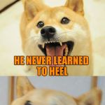 Bad Pun Doge | WHY IS BAD PUN DOG A HORRIBLE DOCTOR; HE NEVER LEARNED TO HEEL | image tagged in bad pun doge | made w/ Imgflip meme maker