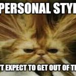 Bad Hair Day Cat Meme Generator - Imgflip