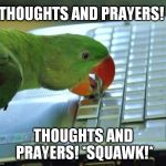 Parrot pc | THOUGHTS AND PRAYERS! THOUGHTS AND PRAYERS! *SQUAWK!* | image tagged in parrot pc | made w/ Imgflip meme maker