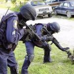 Cops Cat