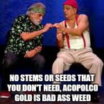 Cheech & Chong | NO STEMS OR SEEDS THAT YOU DON'T NEED, ACOPOLCO GOLD IS BAD ASS WEED | image tagged in cheech  chong | made w/ Imgflip meme maker