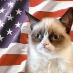 grumpy cat america meme