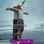 I guess that seagull showed her what's up... | HEY "KING OF THE WORLD" THIS | image tagged in seagull headbutt,memes,funny animals,funny,when animals attack,seagull | made w/ Imgflip meme maker