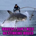 If the waves go away, don't let it ruin your day...you can still make your mark, ride a Great White shark. | WAVES? I DON'T NEED NO STINKING WAVES | image tagged in shark surfing,memes,shark,funny animals,funny,animals | made w/ Imgflip meme maker