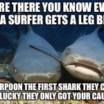 Nurse Sharks | THERE THERE YOU KNOW EVERY TIME A SURFER GETS A LEG BIT OFF; THEY HARPOON THE FIRST SHARK THEY CAN FIND YOU'RE LUCKY THEY ONLY GOT YOUR CAUDAL FIN | image tagged in nurse sharks | made w/ Imgflip meme maker