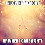When people on social media constantly go on and on about how terrible their life is.. | IN LOVING MEMORY; OF WHEN I GAVE A SH*T | image tagged in flowers,funny,memes | made w/ Imgflip meme maker