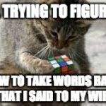 Cat Rubiks Cube | ME . . . TRYING TO FIGURE OUT; HOW TO TAKE WORDS BACK THAT I SAID TO MY WIFE | image tagged in cat rubiks cube | made w/ Imgflip meme maker