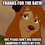 Thanks For The Bath! | THANKS FOR THE BATH! BUT, PLEASE DON'T USE EXCESS SHAMPOO! IT HURTS MY EYES. | image tagged in dixie melancholy,memes,disney,the fox and the hound 2,reba mcentire,dog | made w/ Imgflip meme maker