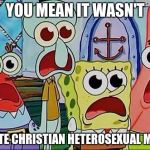 Shocked | YOU MEAN IT WASN'T; A WHITE CHRISTIAN HETEROSEXUAL MALE?? | image tagged in shocked | made w/ Imgflip meme maker
