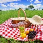 picnic