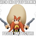 Yosemite Sam | WHICH ONE OF YOU VARMINTS; POSTED THAT PICTURE | image tagged in yosemite sam | made w/ Imgflip meme maker