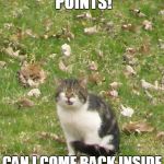 I HAVE 6000 POINTS! CAN I COME BACK INSIDE NOW! IT'S COLD... | image tagged in memes,funny,funny cat,cat,funny cat memes,popular | made w/ Imgflip meme maker