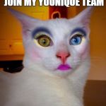 Makeup cat | IT'S TIME FOR YOU TO JOIN MY YOUNIQUE TEAM; RIGHT MEOW! | image tagged in makeup cat | made w/ Imgflip meme maker