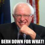 Bernie Sanders | BERN DOWN FOR WHAT! | image tagged in bernie sanders | made w/ Imgflip meme maker