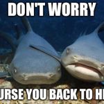 Nurse Sharks | DON'T WORRY; I'LL NURSE YOU BACK TO HEALTH | image tagged in nurse sharks | made w/ Imgflip meme maker