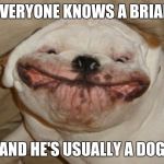 Ugly dog | EVERYONE KNOWS A BRIAN; AND HE'S USUALLY A DOG | image tagged in ugly dog | made w/ Imgflip meme maker