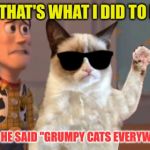 Grumpy Cat Everywhere | AND THAT'S WHAT I DID TO BUZZ; WHEN HE SAID "GRUMPY CATS EVERYWHERE" | image tagged in grumpy cat everywhere,memes | made w/ Imgflip meme maker