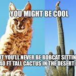 bobcat | YOU MIGHT BE COOL; BUT YOU'LL NEVER BE BOBCAT SITTING ON A 40 FT TALL CACTUS IN THE DESERT COOL | image tagged in bobcat | made w/ Imgflip meme maker