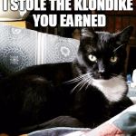I STOLE THE KLONDIKE YOU EARNED | image tagged in memes,funny,cat,funny cat,funny cat memes,klondike bar | made w/ Imgflip meme maker